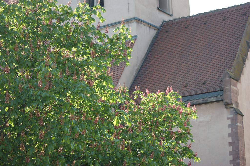 Quai 17 Maison d'hôtes Estrasburgo Exterior foto